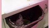 实用小技巧：不需要弯腰的垃圾桶居家必备