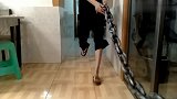 二哈拆家太厉害了,主人被逼无奈,给它拴上了大铁链!