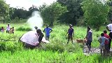 “鲸爆”有多可怕男子拿着刀子执意上前，一刀下去顿时就软了