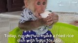 猴子阿布爱吃妈妈做的鸡蛋炒饭，看它手抓饭的样子太可爱了