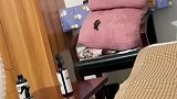 女子家里飞进蝙蝠，猫咪一秒击落