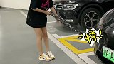 家有恶犬出没