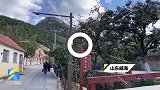 威海小山村百年柿树映红了乡景