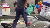 大叔出来买菜，狗狗熟练地跳上自行车后座