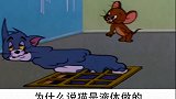 猫的身体是液体的
