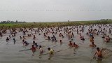 鱼：我好想逃，但是逃不掉！