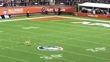 灵性！小狗奔袭整个橄榄球场接飞碟 这速度媲美NFL球员