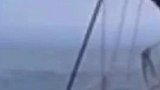 美国：船只跟随海豚群意外发现赤裸落难女子