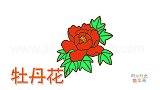 植物简笔画大全，画一朵红色牡丹花简笔画