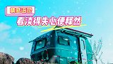 情感语录：看淡得失、看淡爱恨，心便释然