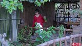 李子柒用青梅为奶奶做的夏日美食，真是色香味俱全