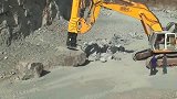 破石神器，只需一锤就能让巨石瞬间被锤碎