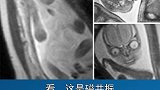 原来如此，让你大开眼界的冷知识