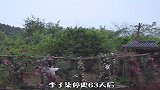 李子柒停更数月，李亚鹏出来澄清挖团队