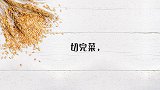 盘点4个炒菜小误区，第3个错误，你肯定犯过！