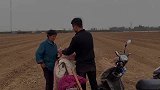 农村婆婆偷偷给儿子下达任务，新媳妇啥情况？豆豆：应该怀孕了？