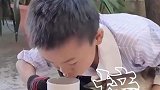 狗子鼻子爬进蚂蟥,男孩稳准狠一口水将其成功逼出