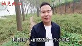 像萝卜一样大的土人参你见过吗？村里人用它来泡脚，看看吧
