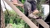 笑死人不偿命：猫：这是我最后一条命，你给我悠着点