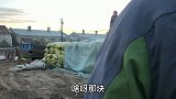 农民王小：摆满一院子水稻，2口人忙到天黑，等待卖好价