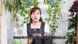 春季养多肉，浇水牢记“6字”口诀，浇好就简单了