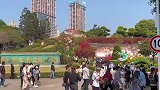 女生在景区游玩，看见了布达拉宫的缩小版