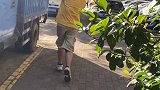 喜大普奔~粽子终于出院啦~ 萌宠出道计划