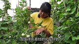 丫丫买了2斤脆肠，做香辣脆肠，大口大口吃，麻辣过瘾太下饭