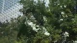 不要停止奔跑,不要回顾来路,来路无可眷恋,值得期待的只有前方