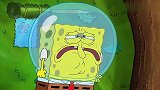 海绵宝宝：宝宝犯了错误，想找珊迪帮忙，有点不好意思开口