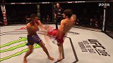 UFC-18年-UFC经典回顾：凯文李VS穆斯塔菲-单场