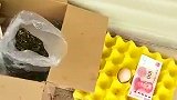 婶娘说拿了点菜过来放我车库门口了，叫我过去拿!