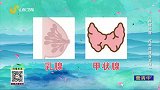 女性防癌，“两腺”必不可少
