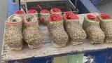 乡村的暖鞋靠草编的，现在这种暖鞋太少见
