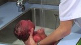 西班牙护士示范如何快速清洗新生儿，一分钟不到全部搞定