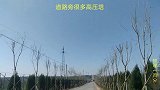 高压塔上的潜在物理危险源！一次短路全报废！
