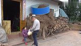 高压锅版爆米花，好吃又便宜，做法还超简单