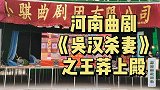 第一次看曲剧名家田少华老师演的白脸奸臣，嗓音高亮，奸气十足