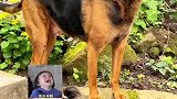 狗子踩着孩子的手不肯松，这多少得带点私人恩怨