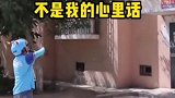 网友：瞬间让人社会性死亡 外卖小哥 催婚