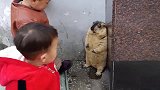 俩小孩将土拨鼠逼到墙角，土拨鼠吓得瑟瑟发抖