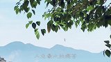 一禅小和尚：人生最大的痛苦，不是得不到，而是得到了又失去
