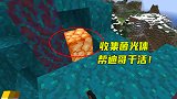 1.16联机220：弄好了鞘翅，我当好人给迪哥干活种菌光体