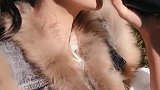 一首《酒醉的蝴蝶》，美女演唱不一样的风情