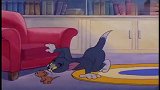 猫和老鼠：两只猫决斗，汤姆刷花头，想要偷袭黑猫！