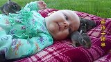 胖嘟嘟小宝宝遇上一群兔宝宝，躺在一起这画面太美了