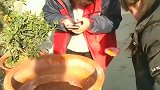 外面的水缸又结冰了，需要赶快把我的小鱼转移走，不然就得冻死！