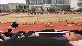 真人小龟快跑，最后那只小乌龟，怎么了？
