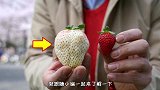 日本土豪吃草莓，迪拜土豪吃黑西瓜，但在我国这种水果前不值一提