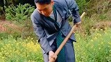 家中有个母老虎，天天让我来挖土